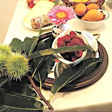 Bed & Breakfast Il Garoch 3*