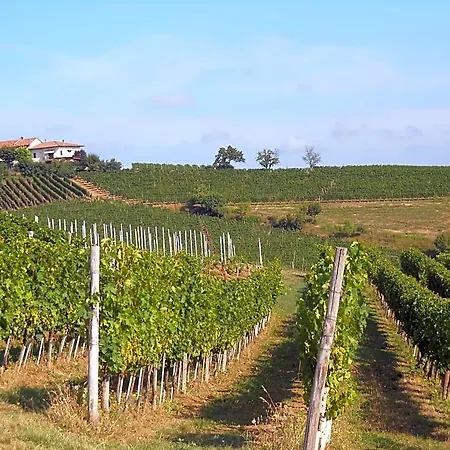 Il Garoch Bed & Breakfast Strevi