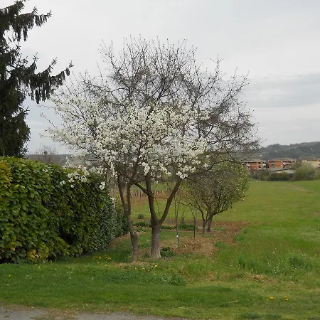 Il Garoch Bed and Breakfast Strevi